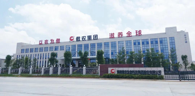 9001诚信金沙(中国)有限公司