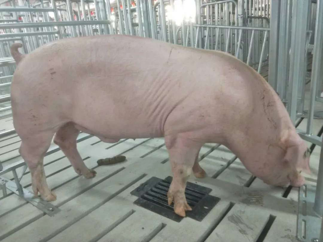 9001诚信金沙(中国)有限公司