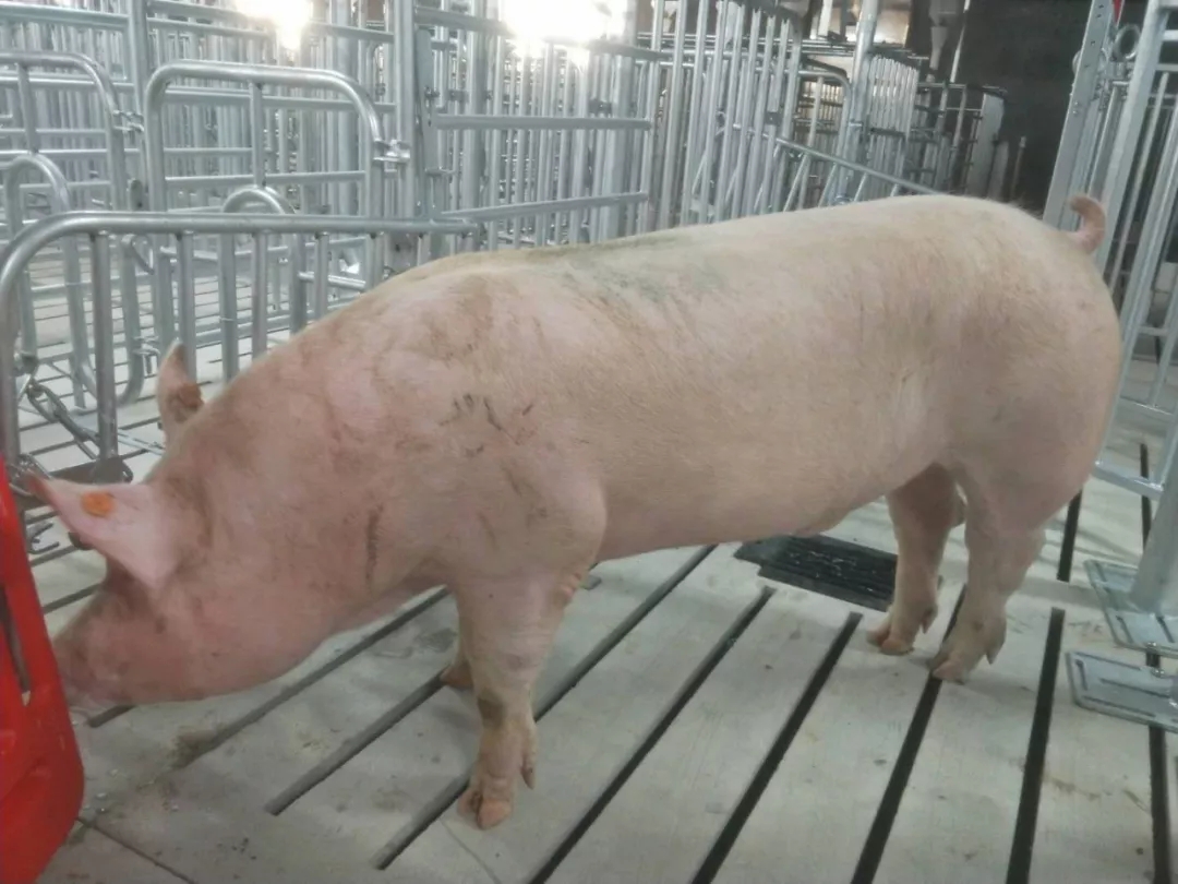 9001诚信金沙(中国)有限公司