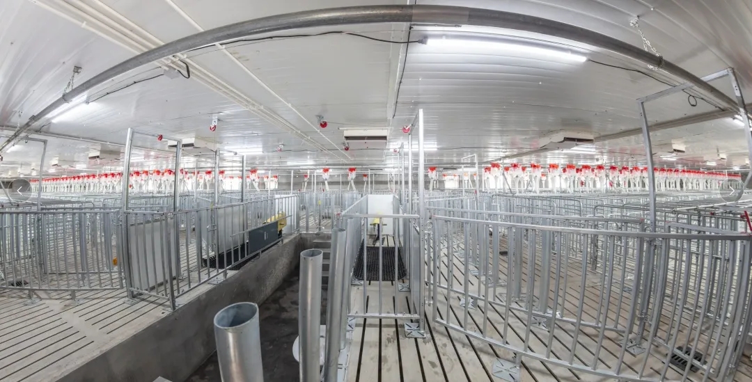 9001诚信金沙(中国)有限公司