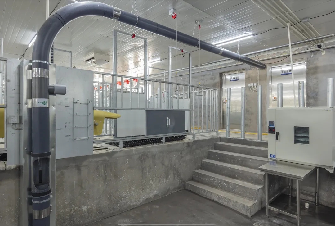 9001诚信金沙(中国)有限公司