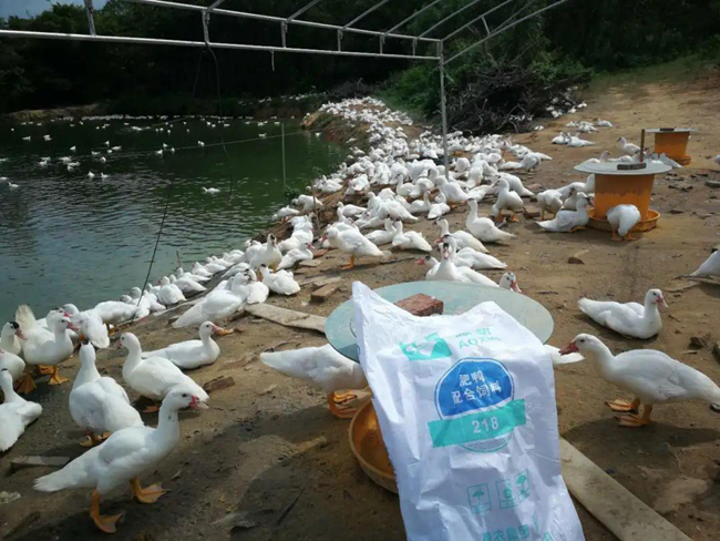 9001诚信金沙(中国)有限公司