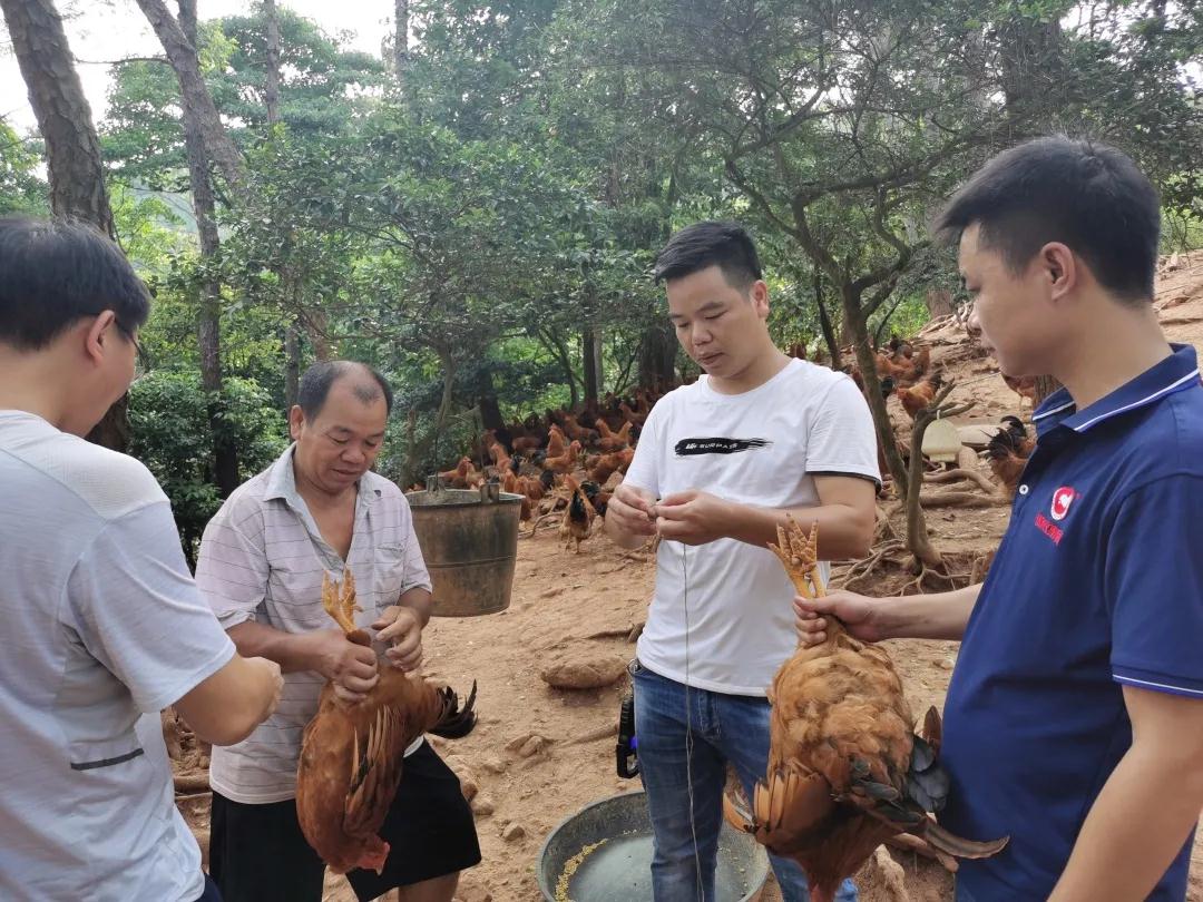 9001诚信金沙(中国)有限公司