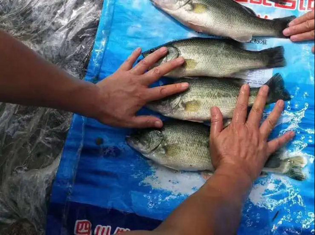 9001诚信金沙(中国)有限公司