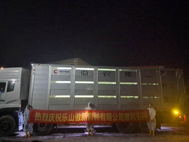 9001诚信金沙(中国)有限公司