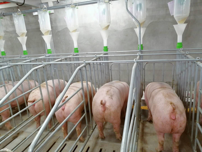 9001诚信金沙(中国)有限公司