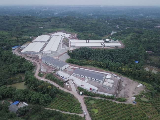 9001诚信金沙(中国)有限公司