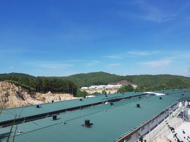 9001诚信金沙(中国)有限公司