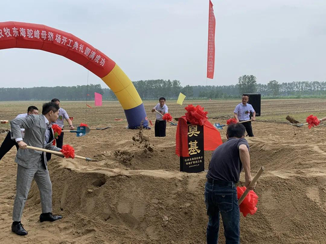 9001诚信金沙(中国)有限公司