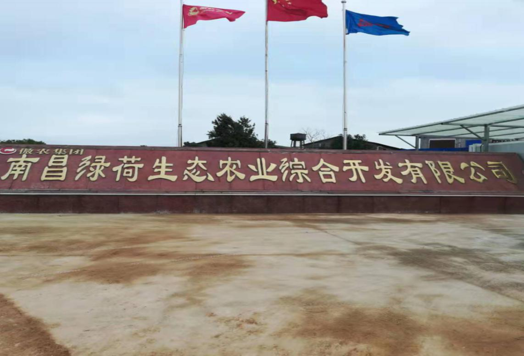 9001诚信金沙(中国)有限公司