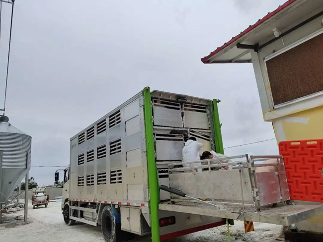 9001诚信金沙(中国)有限公司