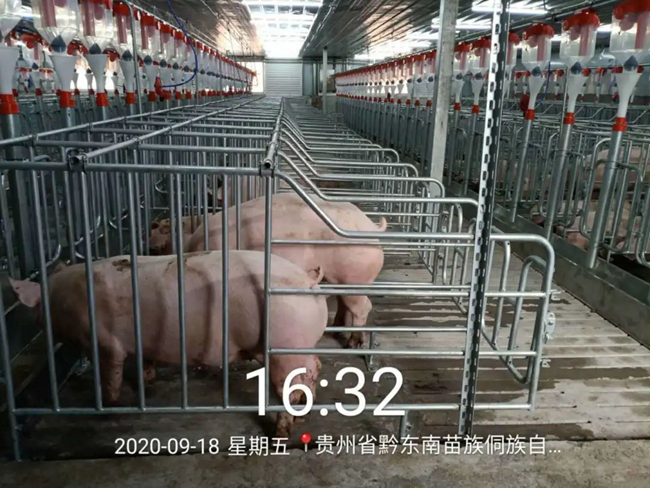 9001诚信金沙(中国)有限公司