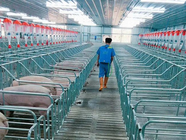 9001诚信金沙(中国)有限公司