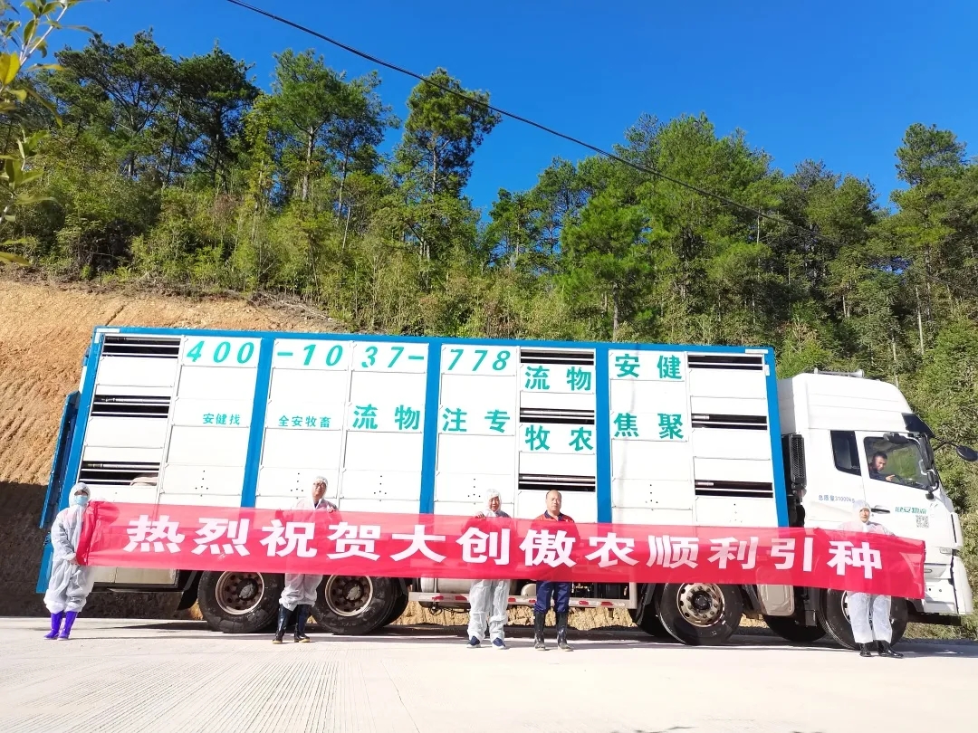 9001诚信金沙(中国)有限公司