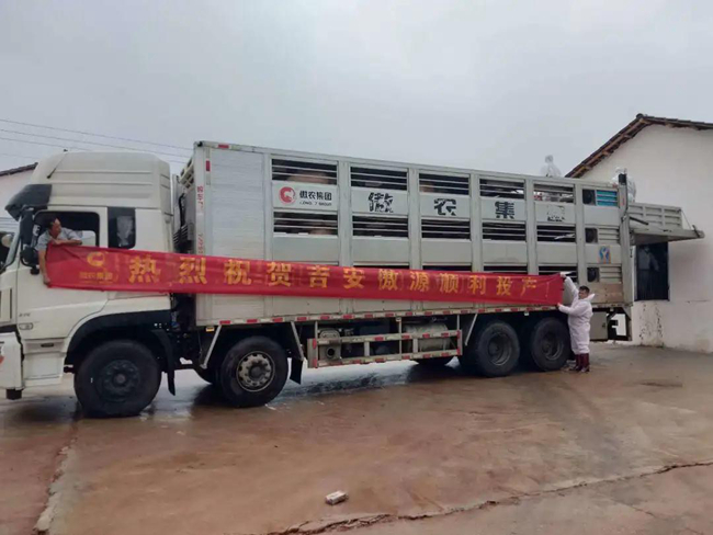 9001诚信金沙(中国)有限公司