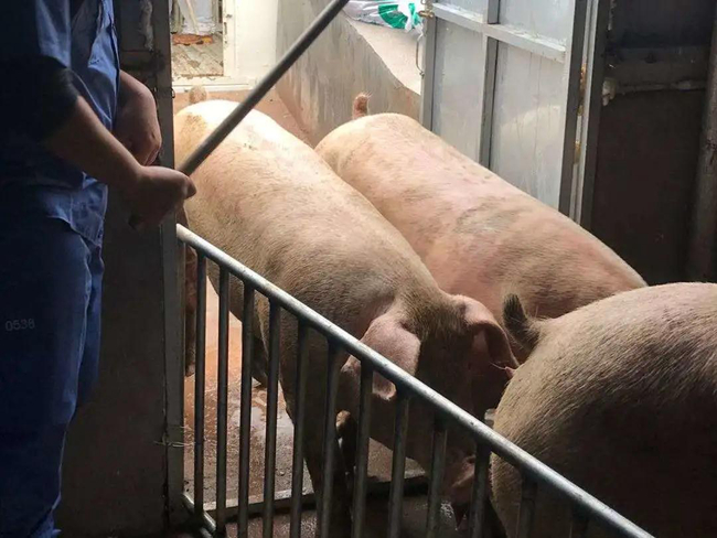 9001诚信金沙(中国)有限公司