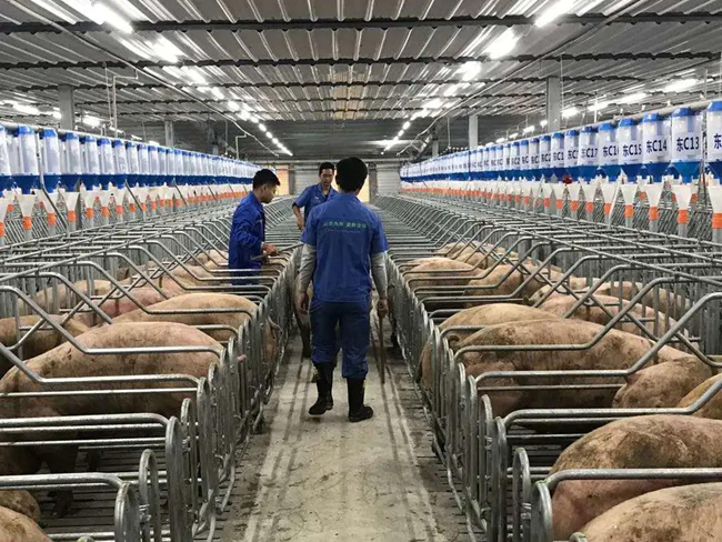 9001诚信金沙(中国)有限公司