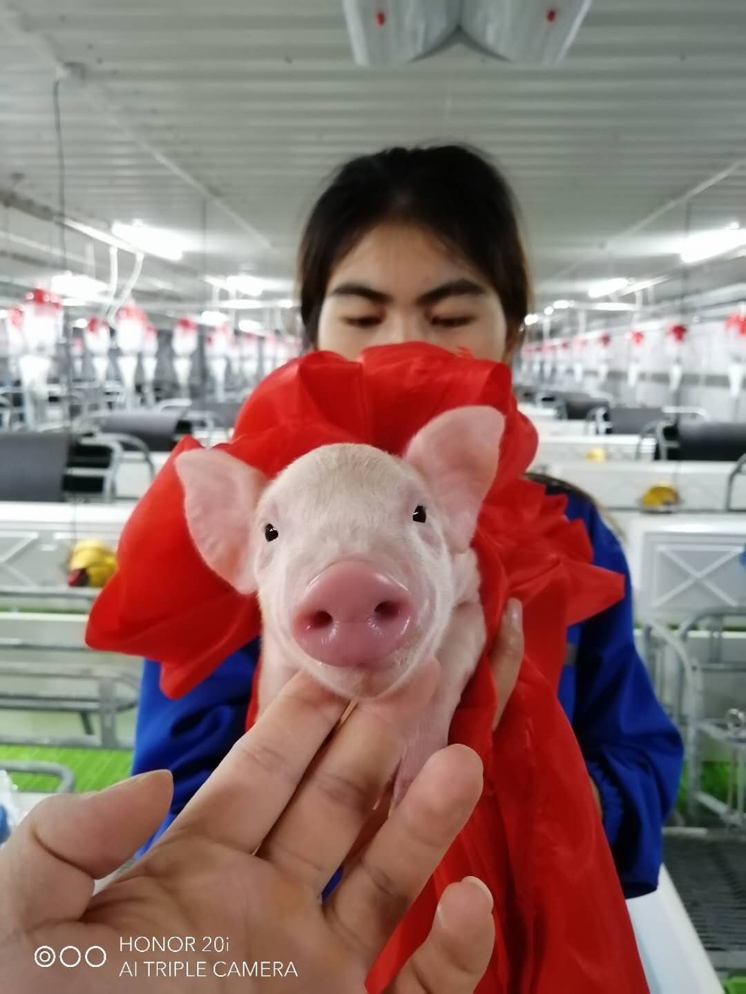 9001诚信金沙(中国)有限公司