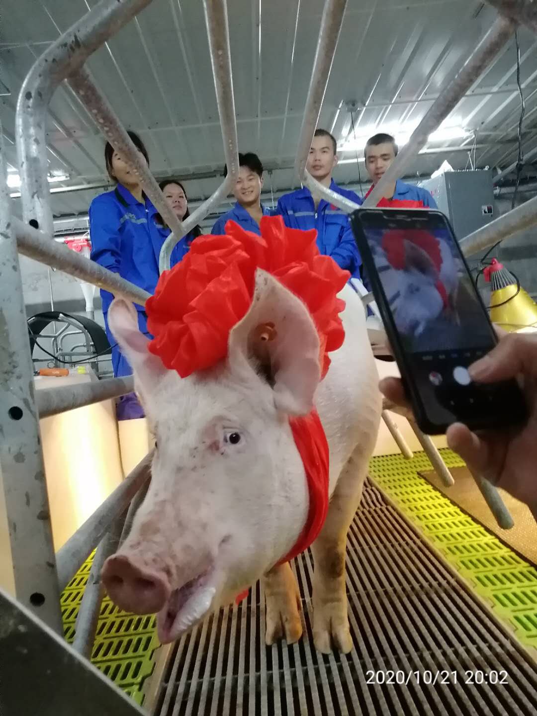 9001诚信金沙(中国)有限公司