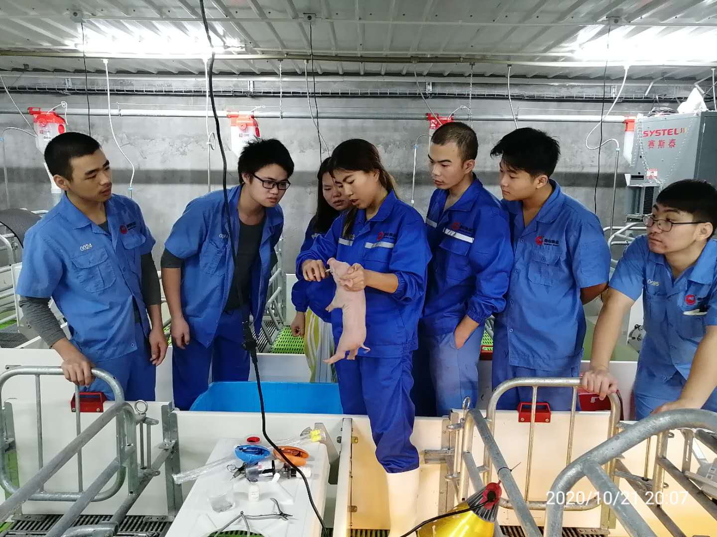 9001诚信金沙(中国)有限公司