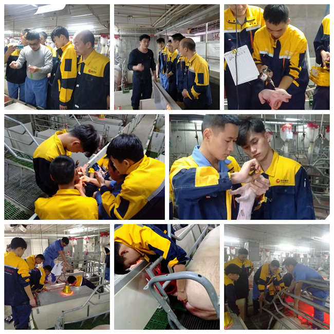 9001诚信金沙(中国)有限公司