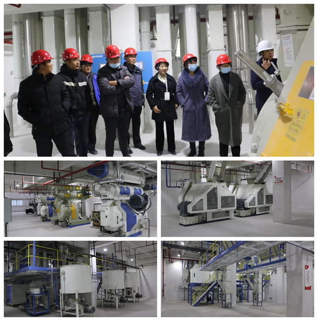 9001诚信金沙(中国)有限公司