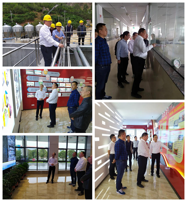 9001诚信金沙(中国)有限公司