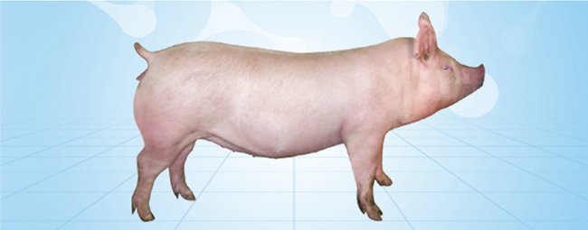 9001诚信金沙(中国)有限公司