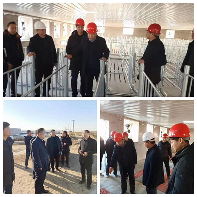 9001诚信金沙(中国)有限公司