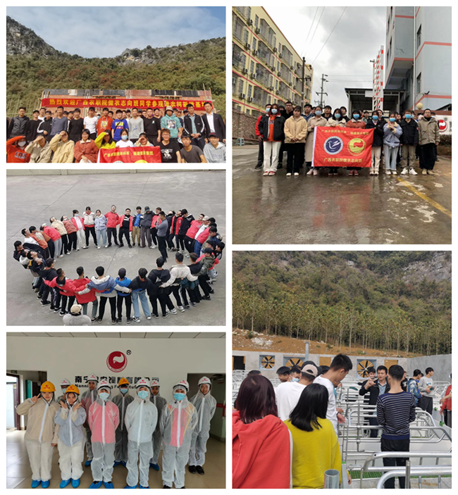 9001诚信金沙(中国)有限公司