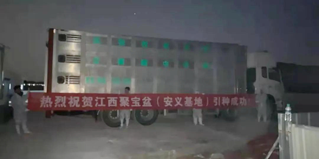 9001诚信金沙(中国)有限公司