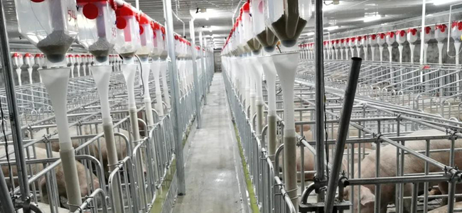 9001诚信金沙(中国)有限公司