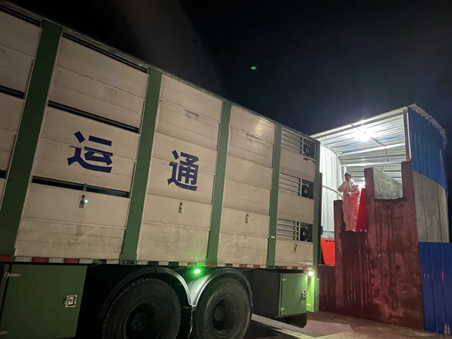 9001诚信金沙(中国)有限公司