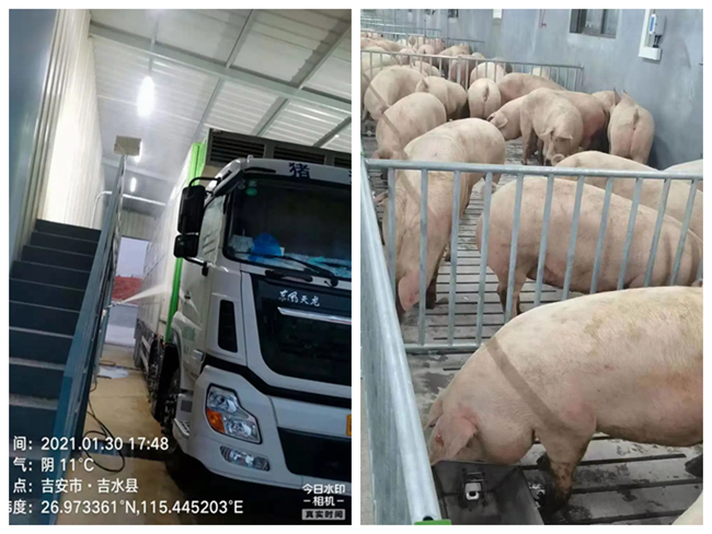 9001诚信金沙(中国)有限公司