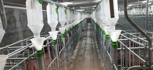 9001诚信金沙(中国)有限公司