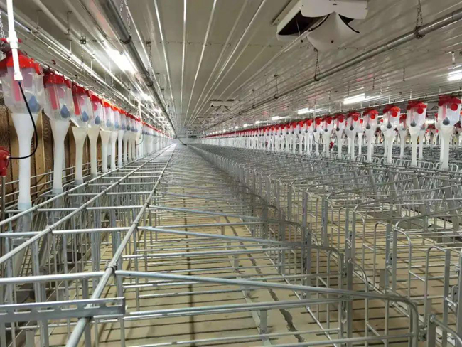 9001诚信金沙(中国)有限公司