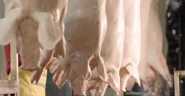 9001诚信金沙(中国)有限公司