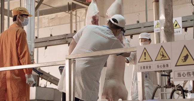 9001诚信金沙(中国)有限公司