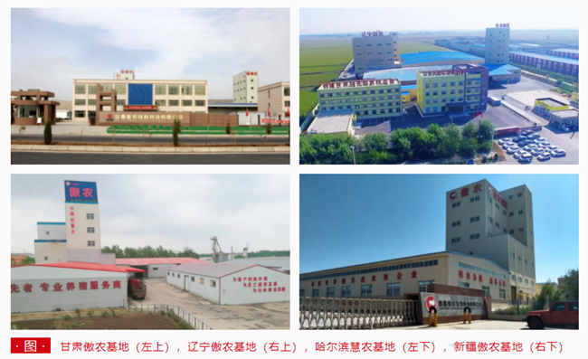 9001诚信金沙(中国)有限公司