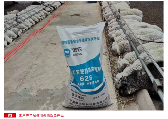 9001诚信金沙(中国)有限公司