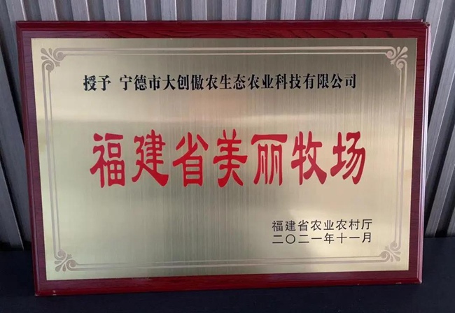 9001诚信金沙(中国)有限公司