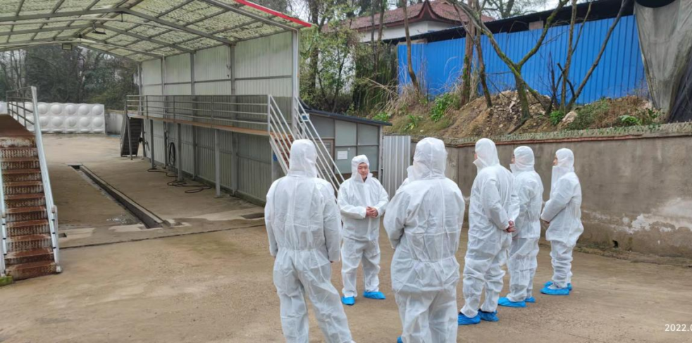 9001诚信金沙(中国)有限公司