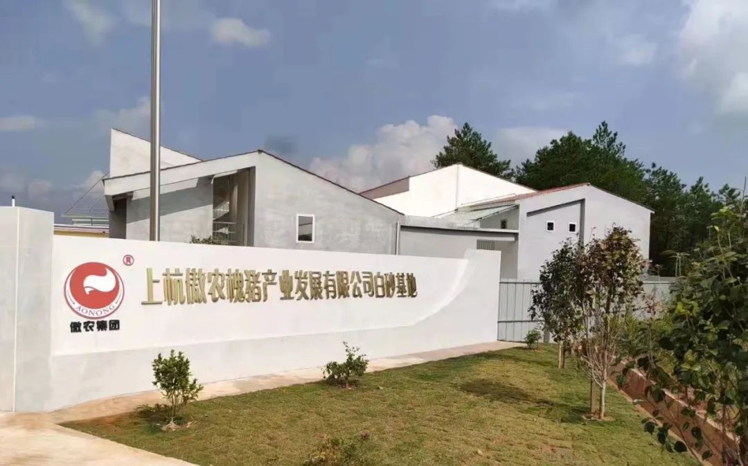 9001诚信金沙(中国)有限公司