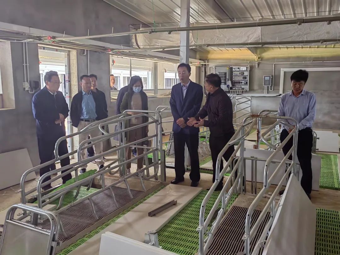 9001诚信金沙(中国)有限公司