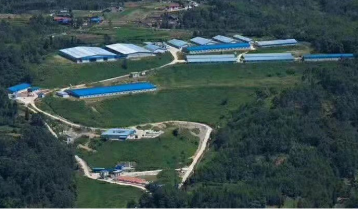 9001诚信金沙(中国)有限公司