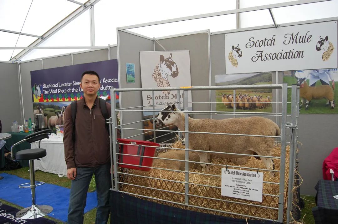 9001诚信金沙(中国)有限公司