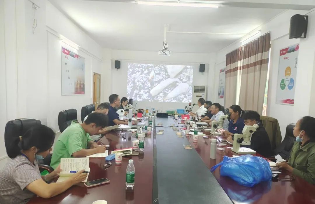 9001诚信金沙(中国)有限公司