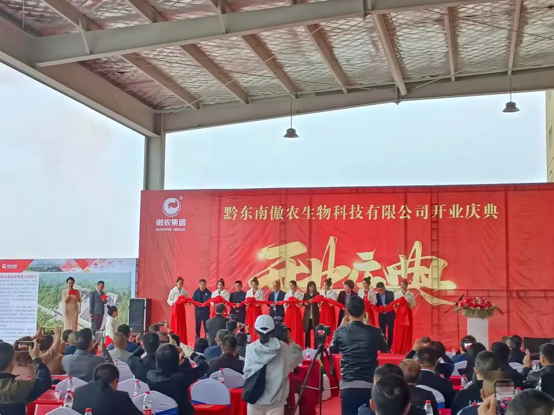 9001诚信金沙(中国)有限公司