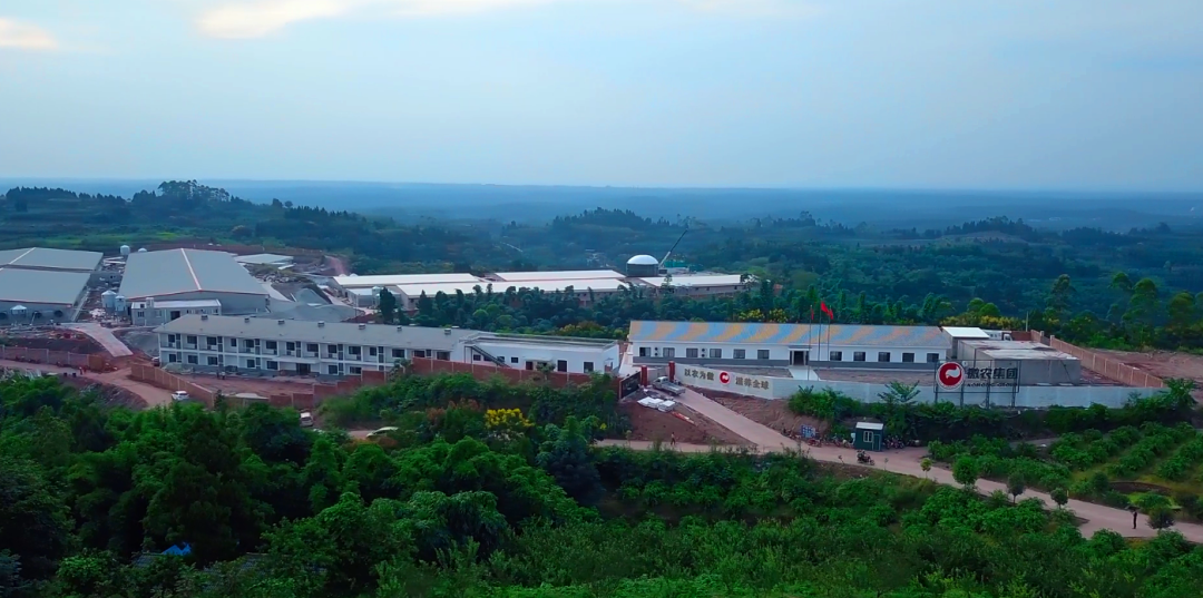 9001诚信金沙(中国)有限公司