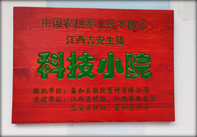 9001诚信金沙(中国)有限公司